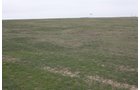 Property photo 6 - Cimarron, Kansas Land Auction - 310 Acres Offered in 7 Tracts