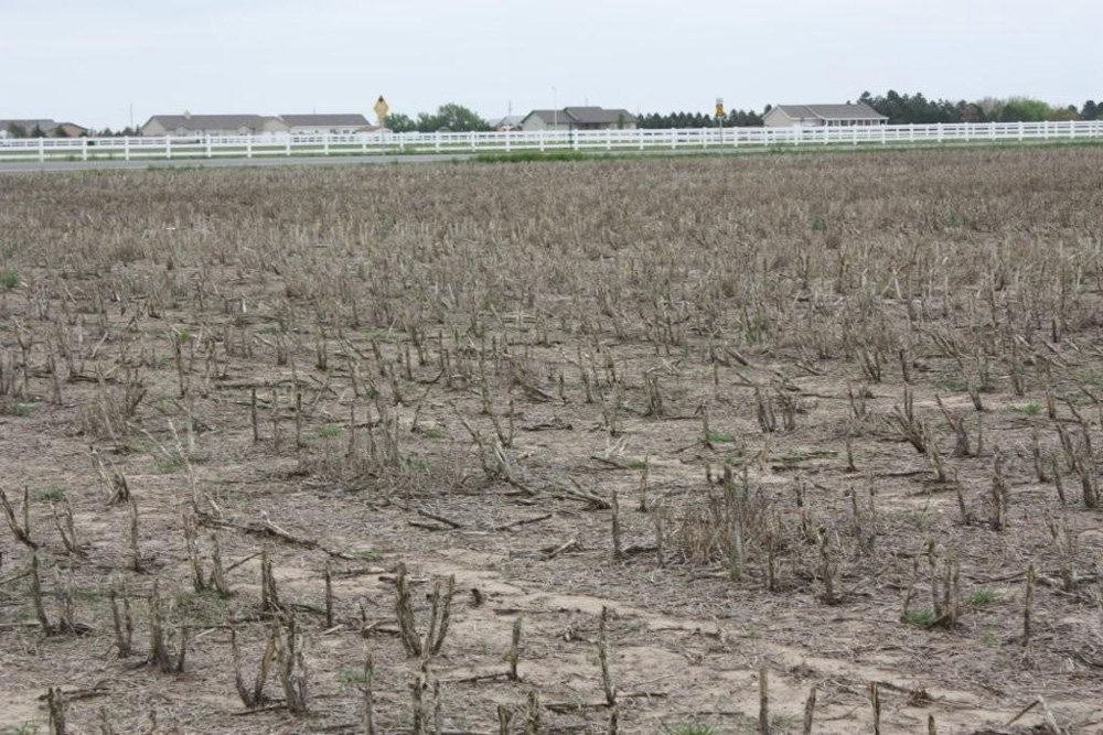 Property photo 15 - Cimarron, Kansas Land Auction - 310 Acres Offered in 7 Tracts
