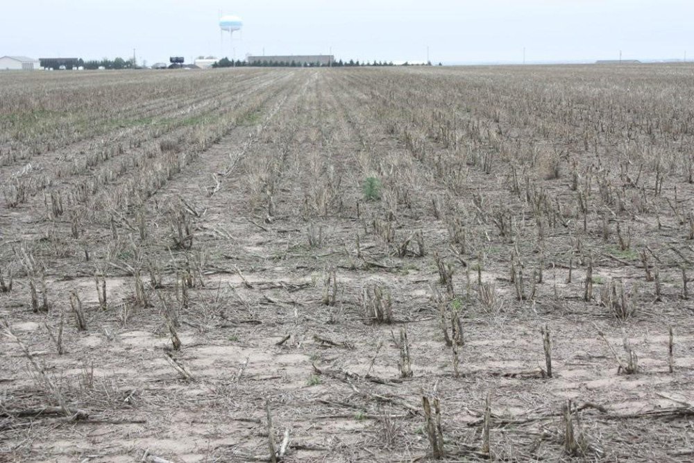 Property photo 5 - Cimarron, Kansas Land Auction - 310 Acres Offered in 7 Tracts