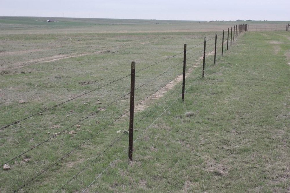 Property photo 12 - Cimarron, Kansas Land Auction - 310 Acres Offered in 7 Tracts