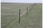 Property photo 12 - Cimarron, Kansas Land Auction - 310 Acres Offered in 7 Tracts