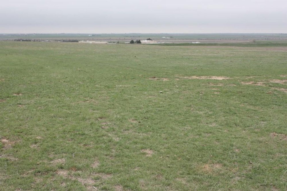 Property photo 16 - Cimarron, Kansas Land Auction - 310 Acres Offered in 7 Tracts
