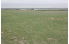 Property photo 16 - Cimarron, Kansas Land Auction - 310 Acres Offered in 7 Tracts