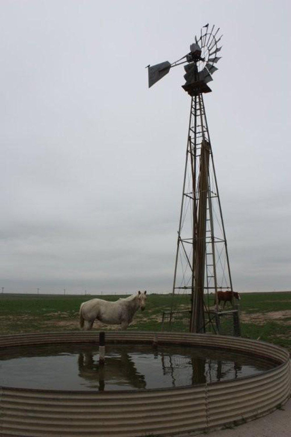 Property photo 9 - Cimarron, Kansas Land Auction - 310 Acres Offered in 7 Tracts