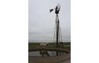 Property photo 9 - Cimarron, Kansas Land Auction - 310 Acres Offered in 7 Tracts