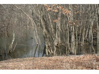 Property photo 29 - Real Estate Auction - 190.6 Acres in 5 Tracts, Tillable, Country Home & Woods