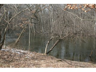 Property photo 33 - Real Estate Auction - 190.6 Acres in 5 Tracts, Tillable, Country Home & Woods