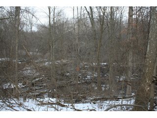 Property photo 31 - Real Estate Auction - 190.6 Acres in 5 Tracts, Tillable, Country Home & Woods