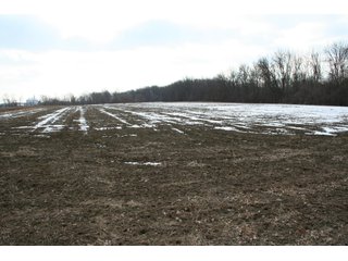 Property photo 40 - Real Estate Auction - 190.6 Acres in 5 Tracts, Tillable, Country Home & Woods