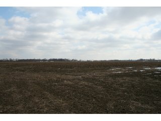 Property photo 14 - Real Estate Auction - 190.6 Acres in 5 Tracts, Tillable, Country Home & Woods