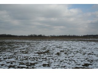 Property photo 12 - Real Estate Auction - 190.6 Acres in 5 Tracts, Tillable, Country Home & Woods