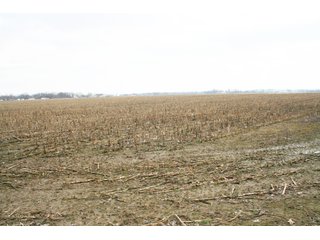 Property photo 25 - Real Estate Auction - 190.6 Acres in 5 Tracts, Tillable, Country Home & Woods