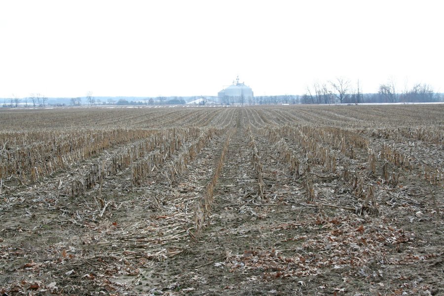 Real Estate Auction - 190.6 Acres in 5 Tracts, Tillable, Country Home & Woods