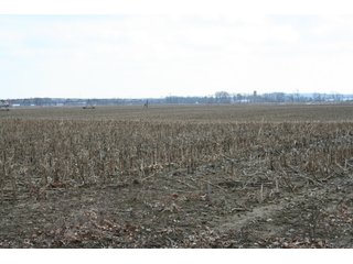 Property photo 24 - Real Estate Auction - 190.6 Acres in 5 Tracts, Tillable, Country Home & Woods