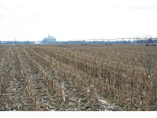 Property photo 26 - Real Estate Auction - 190.6 Acres in 5 Tracts, Tillable, Country Home & Woods