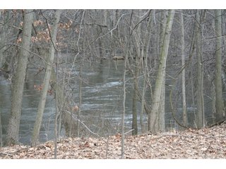 Property photo 18 - Real Estate Auction - 190.6 Acres in 5 Tracts, Tillable, Country Home & Woods