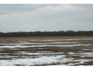 Property photo 41 - Real Estate Auction - 190.6 Acres in 5 Tracts, Tillable, Country Home & Woods