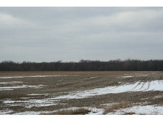 Property photo 15 - Real Estate Auction - 190.6 Acres in 5 Tracts, Tillable, Country Home & Woods