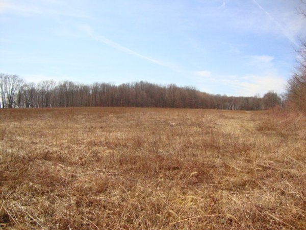 35+/- Acre Real Estate Auction