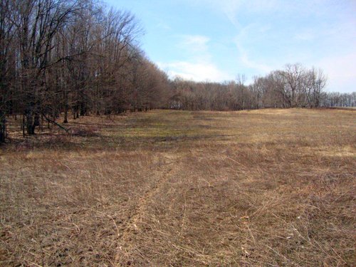 Property photo 5 - 35+/- Acre Real Estate Auction
