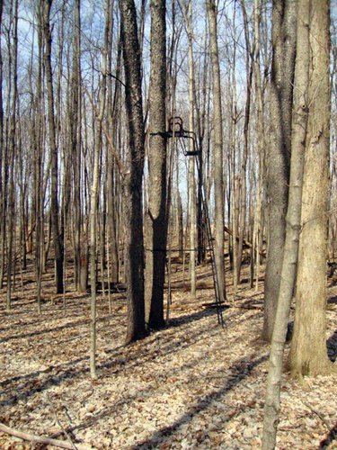 Property photo 2 - 35+/- Acre Real Estate Auction