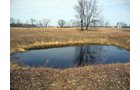 Property photo 1 - 35+/- Acre Real Estate Auction