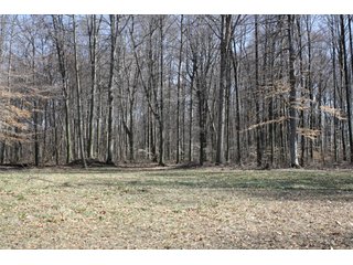 Property photo 4 - 35 Acres Real Estate Auction