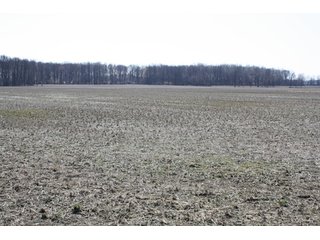 Property photo 1 - 35 Acres Real Estate Auction