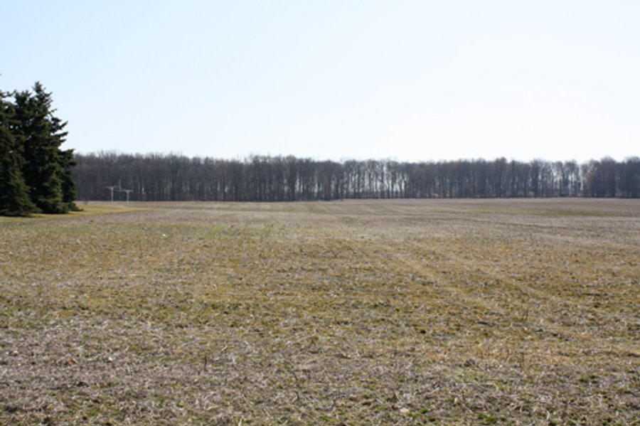 35 Acres Real Estate Auction