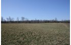 Property photo 3 - 86.89 Acres offered in 3 Tracts