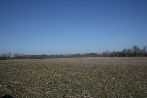 Property photo 7 - 86.89 Acres offered in 3 Tracts