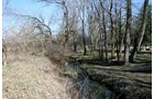 Property photo 9 - 86.89 Acres offered in 3 Tracts