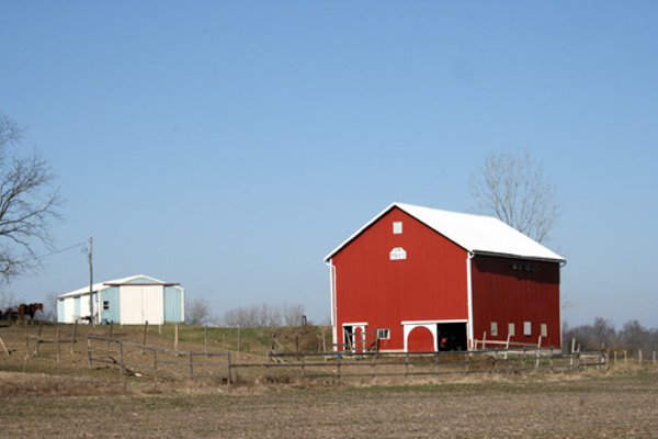 86.89 Acres offered in 3 Tracts