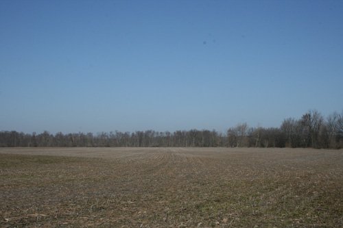 Property photo 5 - 86.89 Acres offered in 3 Tracts