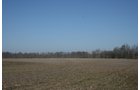 Property photo 5 - 86.89 Acres offered in 3 Tracts