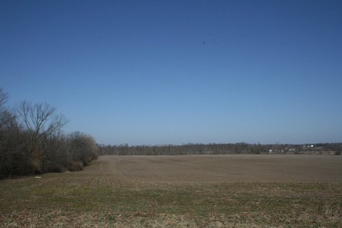 Property photo 2 - 86.89 Acres offered in 3 Tracts