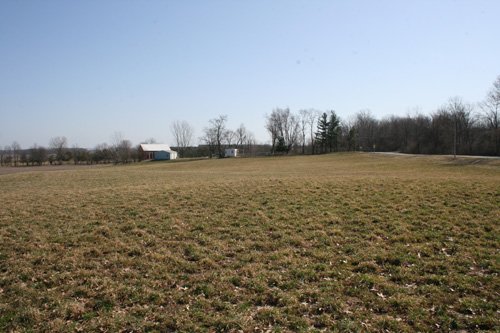Property photo 12 - 86.89 Acres offered in 3 Tracts