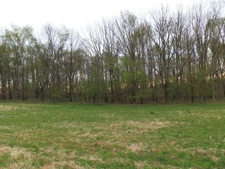 Property photo 3 - Brick Home on 6+/- Acre Real Estate & Personal Property Auction