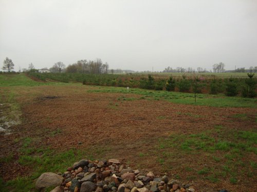 Property photo 10 - 40+/- Acres Offered in 3 Tracts with a Remodeled Country Home