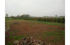 Property photo 10 - 40+/- Acres Offered in 3 Tracts with a Remodeled Country Home