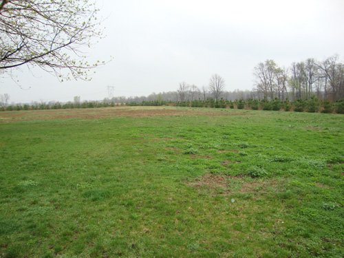 Property photo 11 - 40+/- Acres Offered in 3 Tracts with a Remodeled Country Home