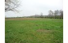 Property photo 11 - 40+/- Acres Offered in 3 Tracts with a Remodeled Country Home