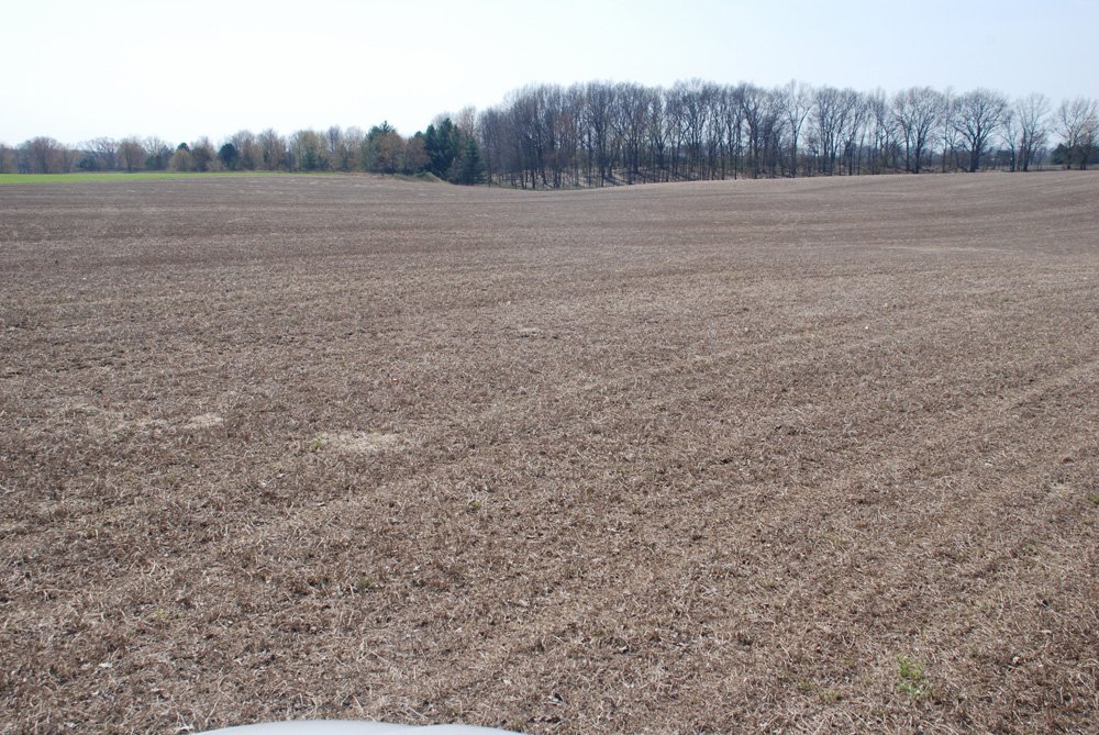 Property photo 4 - Land Auction - 85 acres Offered in 5 Tracts
