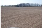 Property photo 4 - Land Auction - 85 acres Offered in 5 Tracts