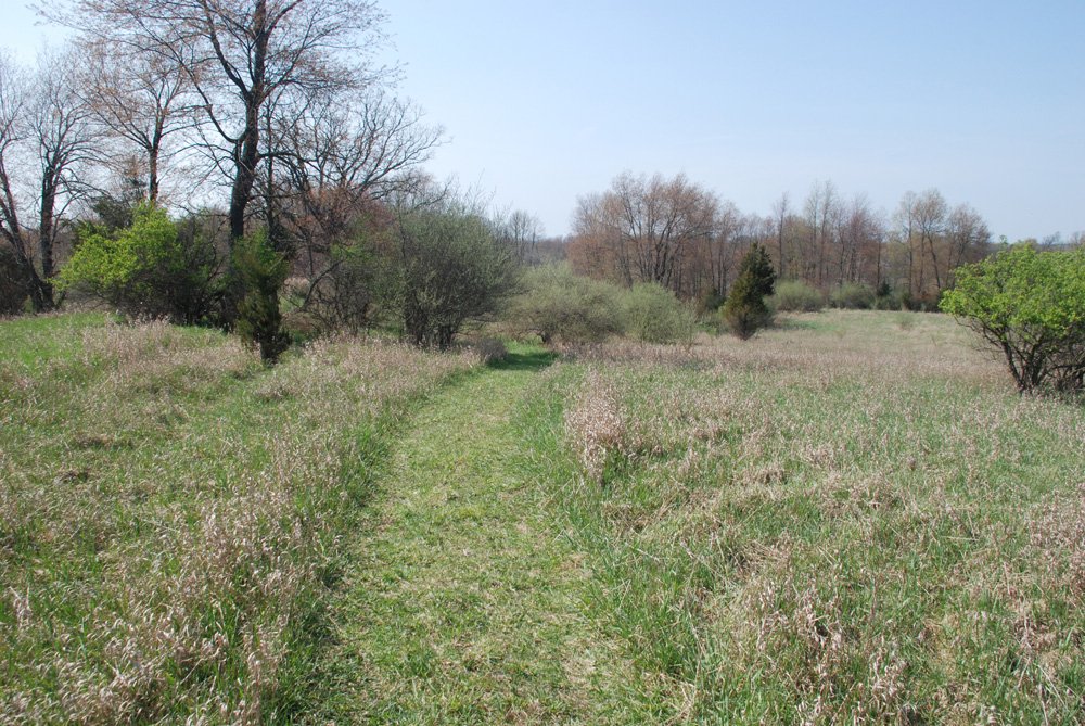 Property photo 3 - Land Auction - 85 acres Offered in 5 Tracts