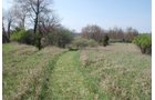 Property photo 3 - Land Auction - 85 acres Offered in 5 Tracts