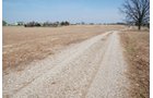 Property photo 2 - Land Auction - 85 acres Offered in 5 Tracts