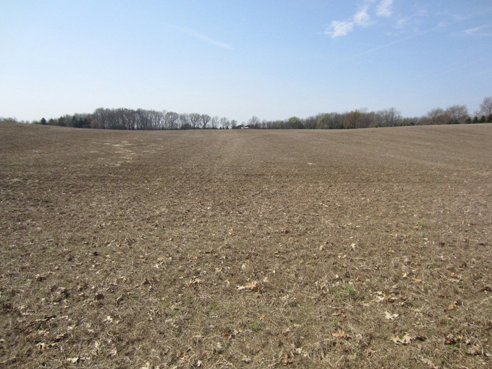 Property photo 6 - Land Auction - 85 acres Offered in 5 Tracts