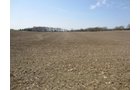 Property photo 6 - Land Auction - 85 acres Offered in 5 Tracts