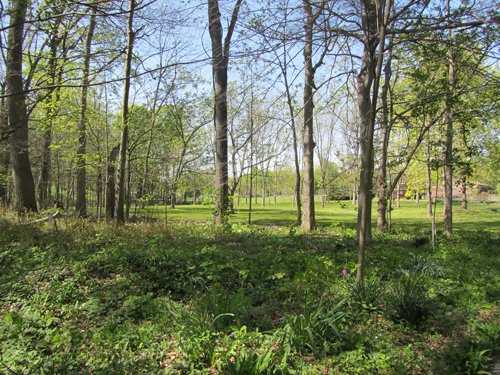Property photo 13 - Real Estate Auction - 1939 Dutch Colonial home plus guest house, horse barn and 144 ft pole barn, all on over 11.5 acres